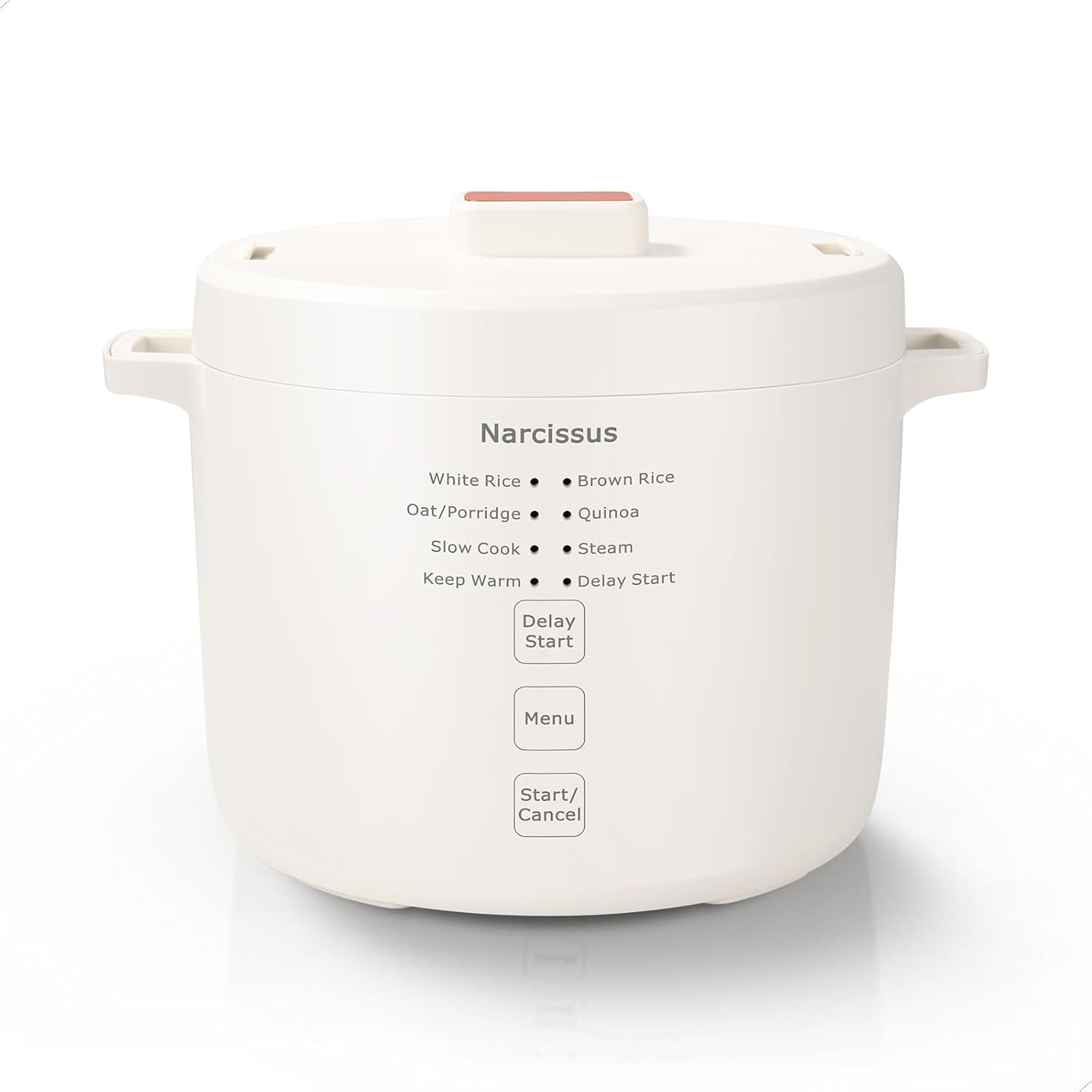 Narcissus 3.5-Cup Rice Cooker for 1-3 People, Multifunctional for Rice, Oatmeal, Quinoa – Slow Cook, Steam, Cook Rice & Steam Dish Together, Rice White